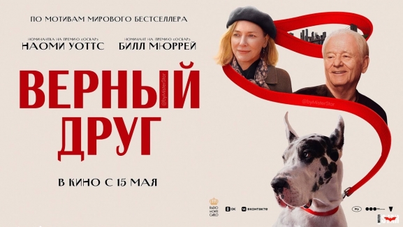 Верный друг Верный друг