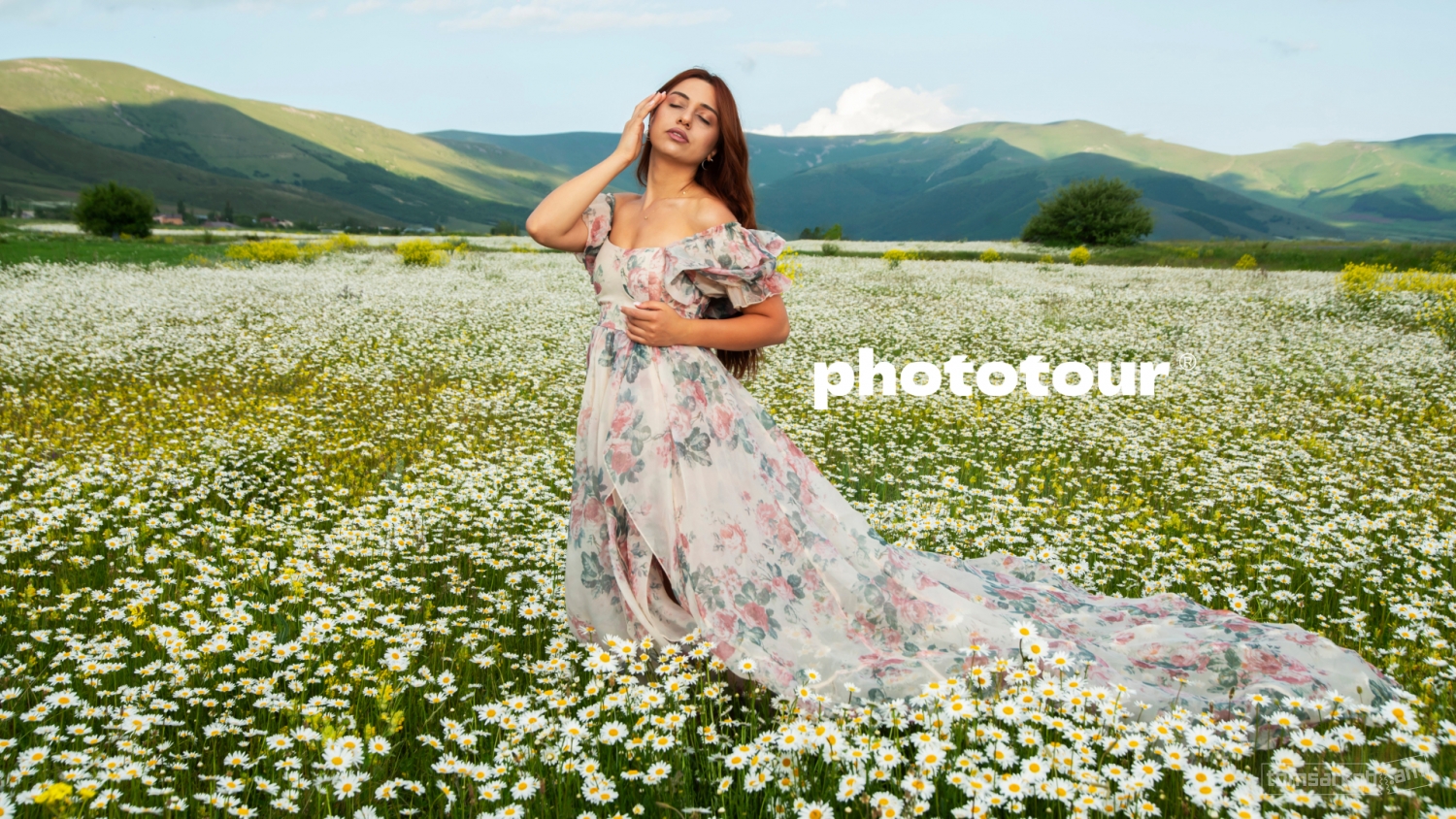 Photo Tour դեպի երիցուկների  դաշտեր